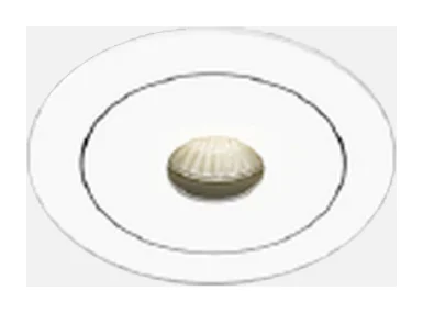 Archilight Pictor Double Recessed Downlight Illustration (page 1)